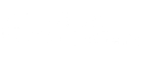 msdt.png